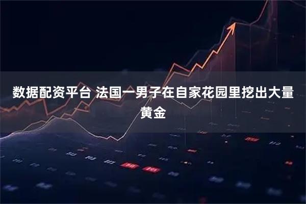 数据配资平台 法国一男子在自家花园里挖出大量黄金