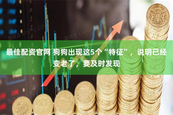 最佳配资官网 狗狗出现这5个“特征”，说明已经变老了，要及时发现