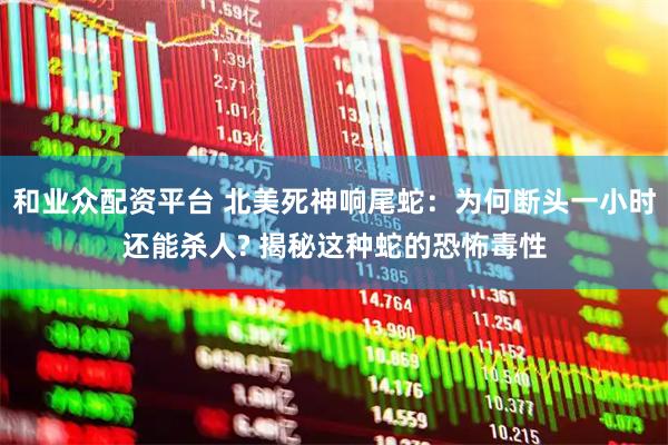 和业众配资平台 北美死神响尾蛇：为何断头一小时还能杀人? 揭秘这种蛇的恐怖毒性