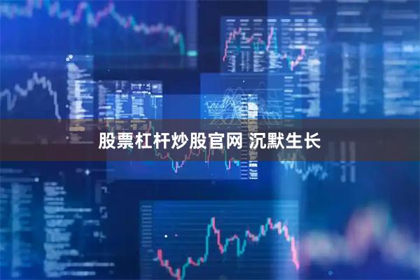 股票杠杆炒股官网 沉默生长
